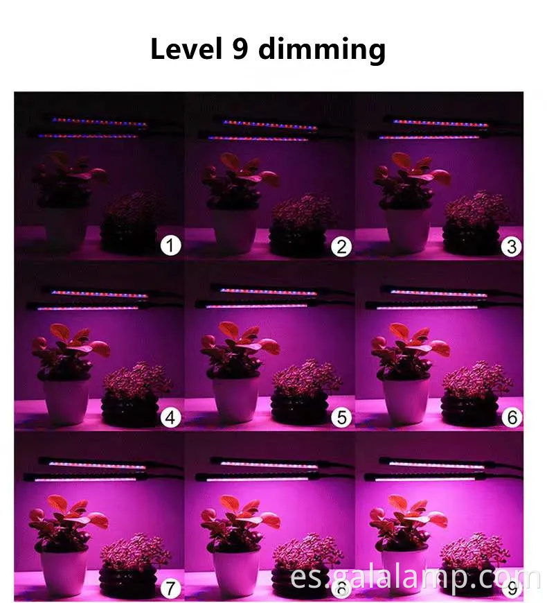 Luz de cultivo LED de espectro completo avanzado con temporizador y atenuación